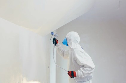 Professional Painters at Work