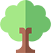 Eco-Friendly Practices